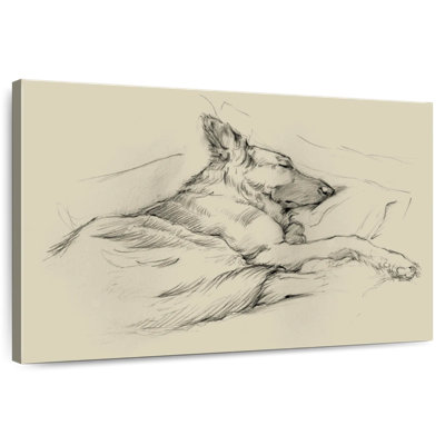 Brampt Dog Days II