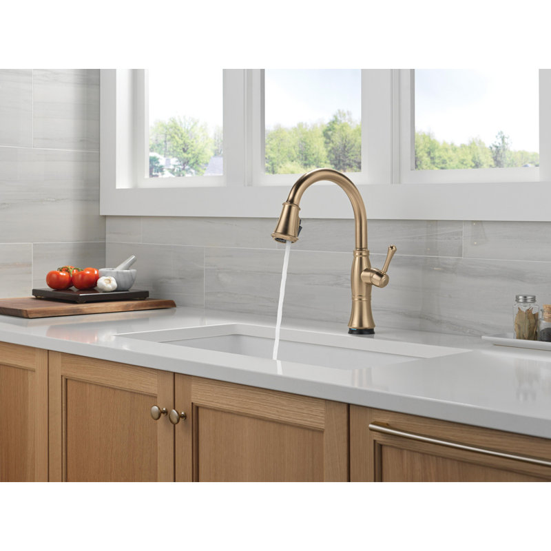 Cassidy Touch2O Kitchen Sink Faucet with Touchless Technology, Lumicoat  Champagne Bronze