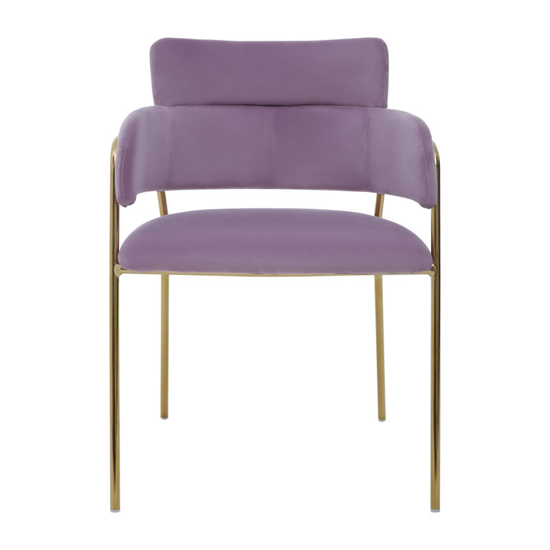 Elsberry 46cm H Velvet Upholstered Armchair, Gold, Pink