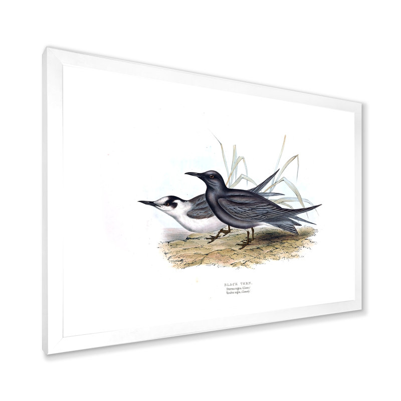 Oiseau rétro de l'Europe II - peinture sur toile, H 12 po x l 20 po x p 1 po, Cadre photo blanc