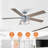 Rish 52'' Ceiling Fan with Light Kit-210925611