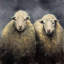 Wool Sheeps - Beige, reproduction encadrée mate pour la décoration intérieure