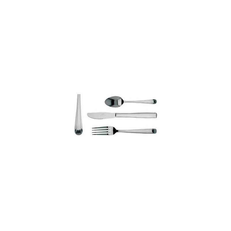 Dominion Stainless Steel Teaspoon