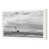 White Single Picture Framed selected