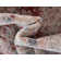 Tapis traditionnel rouge