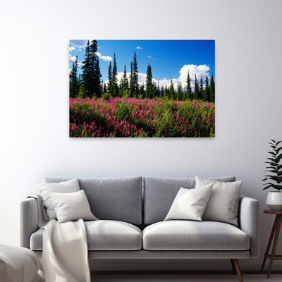 Fleurs d'épilobe rose en fleurs dans la clairière, Alaska, États-Unis Art floral abstrait et paisible