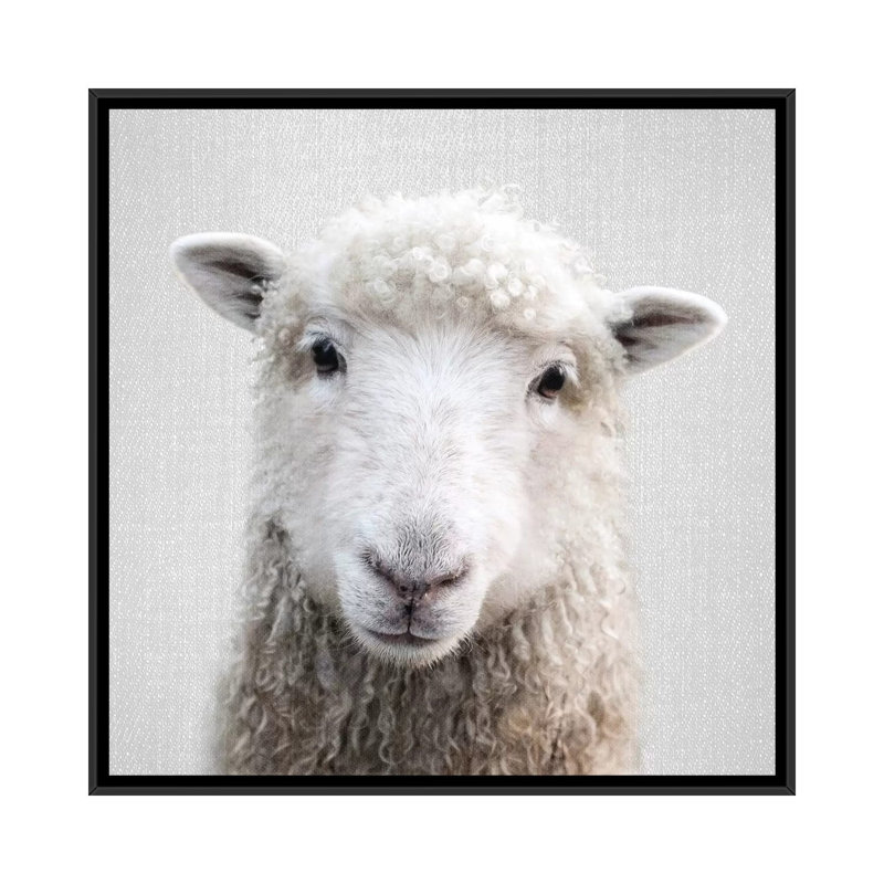 «Sheep» - reproduction de photo, H 12 po x l 12 po x P 1,5 po, Toile avec cadre noir