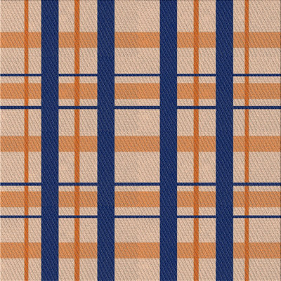 Plaid Indoor Rug