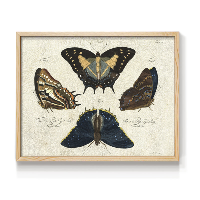 Crackled Butterflies IV -Framed Print - Restickable, H 8 po x l 10 po, Naturel