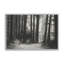 «Secret Tract II» par Michael Willett, reproduction d'art-744799483-744799472-744799476