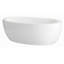 Olivia 1 Freestanding Soaker Tub