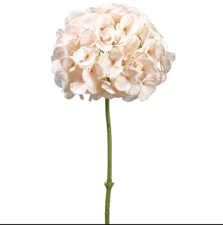 19" Blush Hydrangea Stem