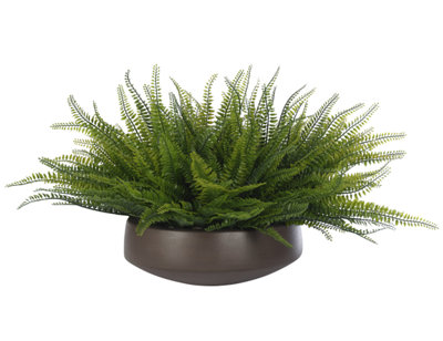 UV RATED | Fern Boston, Concrete Bowl, 30wx25dx15h