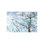 Clear Blue Sky Print-26938177-26938184