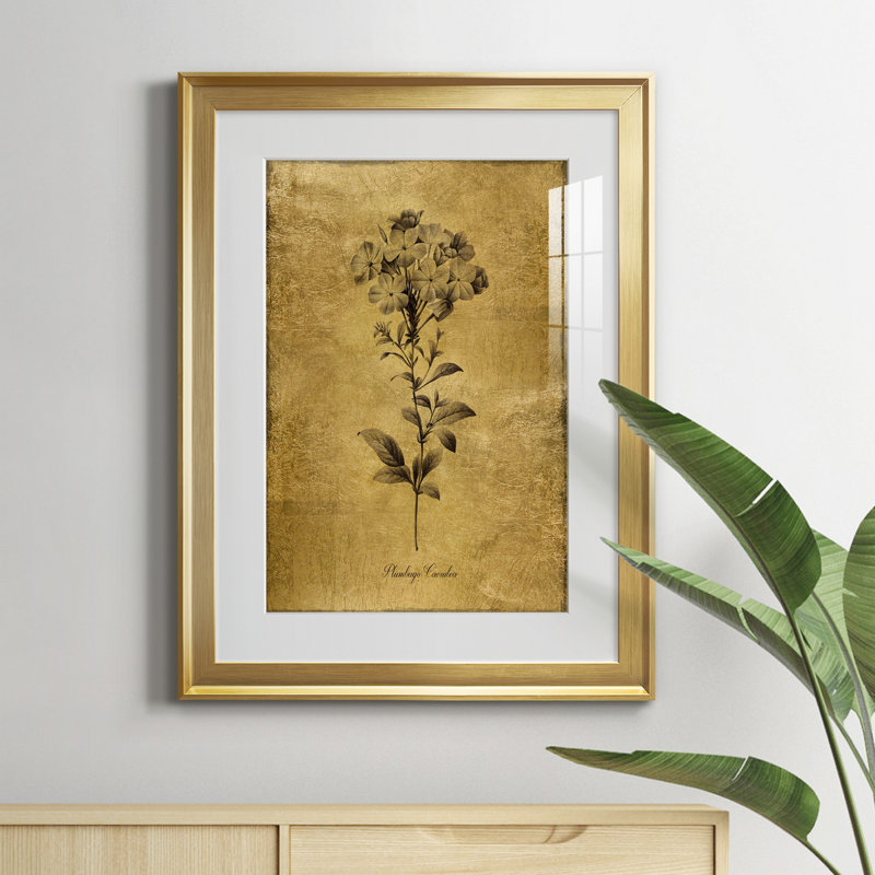 Reproduction d'art encadrée dorée Botanical II, Or, H 24,5 po x l 18,5 po x P 1,5 po