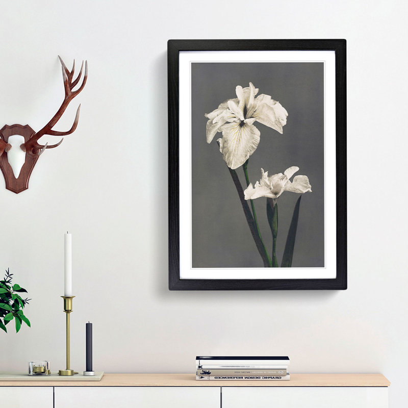 White Iris Flower by Kazumasa Ogawa - Picture Frame Art Prints, 36cm H x 27cm W x 2cm D, Black Framed