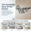 Décoration murale poisson de fer l 70 po de style méditerranéen - style bord de mer élégant-368532672