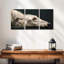 Brampt Loyal Dog-106820389