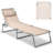 Patel Outdoor Metal Chaise Lounge