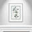 Colombe Shabby Elegance Botanical II - Framed Art-72514458-72514455