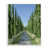 Giclée encadrée blanc bord de mer sélectionné