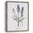 Lavender Framed Print - Solid Wood-1970716254