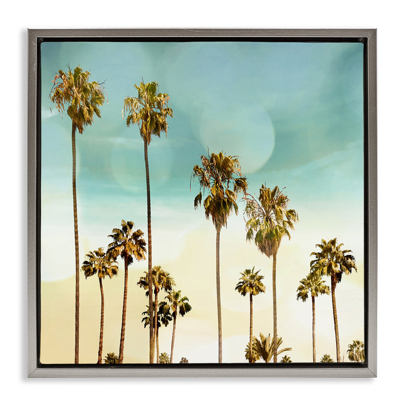 «Palm Tree Beach Sky», art mural sur toile flottante par Devon Davis, Cadre flottant gris lustré, H 18 po x l 18 po