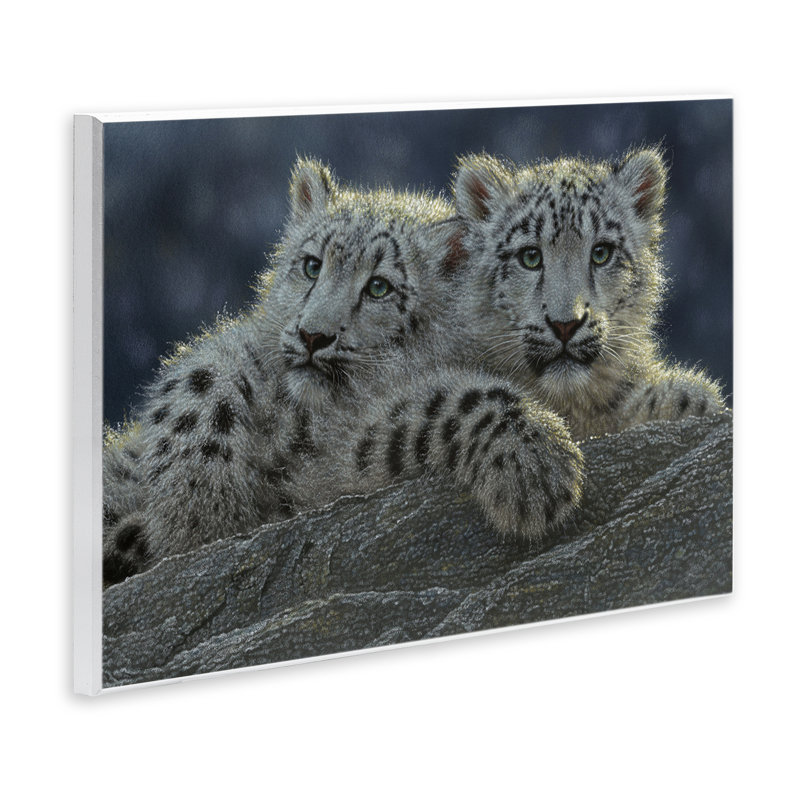 Snow Leopard Cuddle Wall Plaque, design by Collin Bogle, 10" H x 15" W