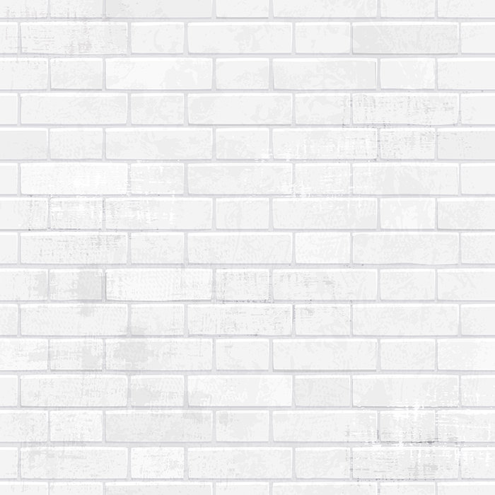 Ables Matte Peel and Stick Mural, 250 x 250cm