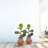 36'' Faux Fiddle Leaf Fig Branch