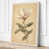 Cream Border