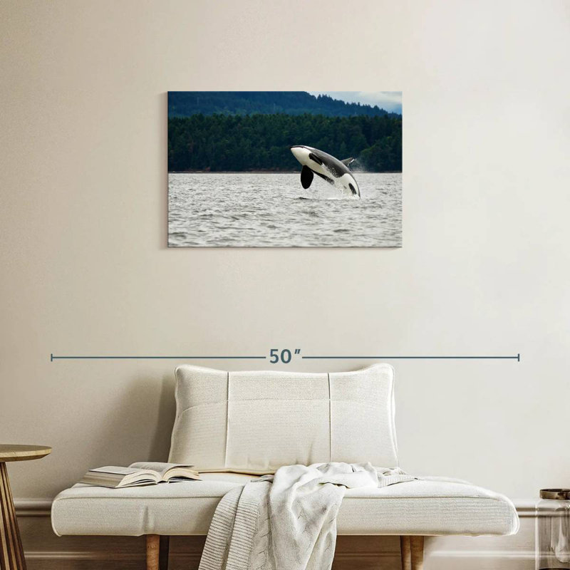 Crowle Orca Jumping, 20" H x 30" W