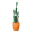 Cactus artificiel en pot terre cuite-1396300894