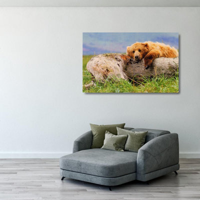 La vie est un ours