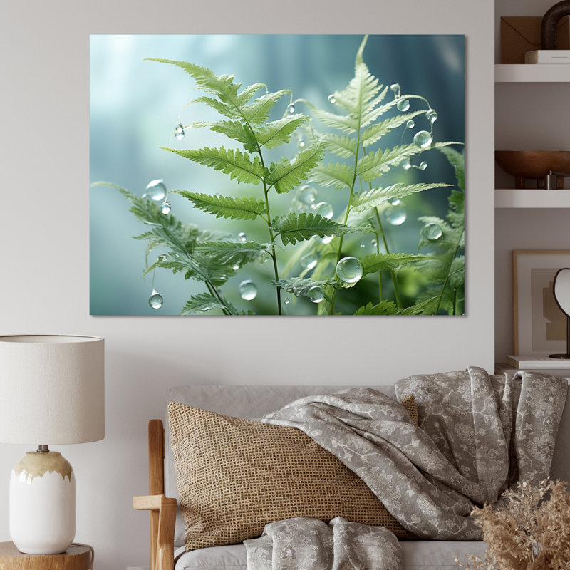 Ferns Plant Ethereal Whispers I - impression, Toile tendue, 16" H x 32" W