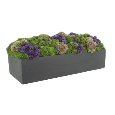 Faux Succulent Plant in Fiberstone Planter