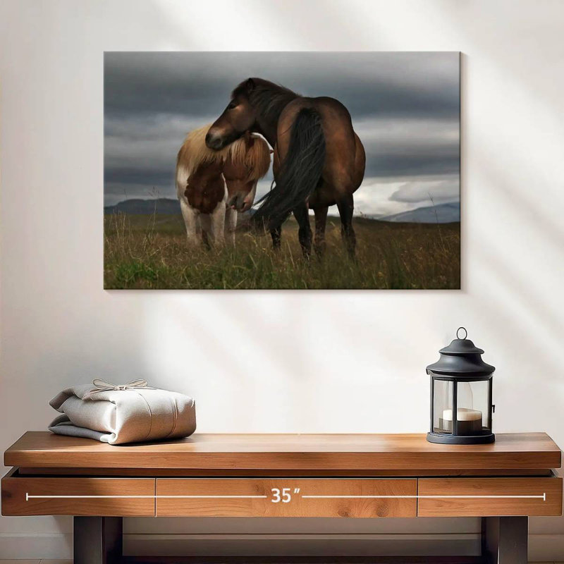 Poney gratuit Brampt, H 16 po x l 24 po