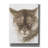 Malcontent' by Barbara Keith, Canvas Wall Art-581972046