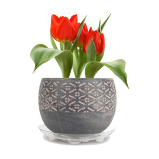 Plant Stand