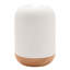 Arnish Ceramic Table Lamp