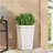 MGO PLANTER