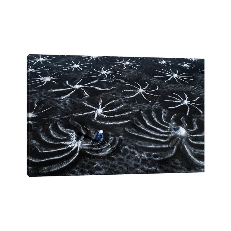 Salt Field by Trung Pham - Gallery-Wrapped Canvas Giclée on Canvas, Canvas, 20.32 cm H x 30.48 cm W