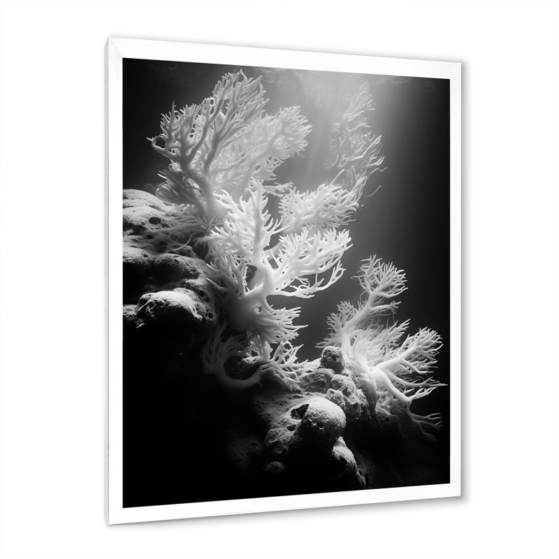 Anémone noire et blanche IV sur toile, H 20 po x l 12 po x P 1 po, Cadre photo blanc
