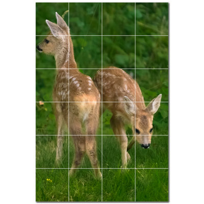 Cerf photo 8 x 8