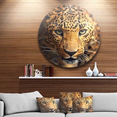 " Leopard Face Close-up "