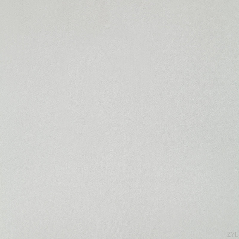Ensemble de 2 chaises d'appoint en velours blanc et finition blanche lustrée