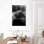 Lilie No 100, rue King-108542733