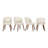 Katherine Upholstered Back Side Dining Chair-118565854-118565851