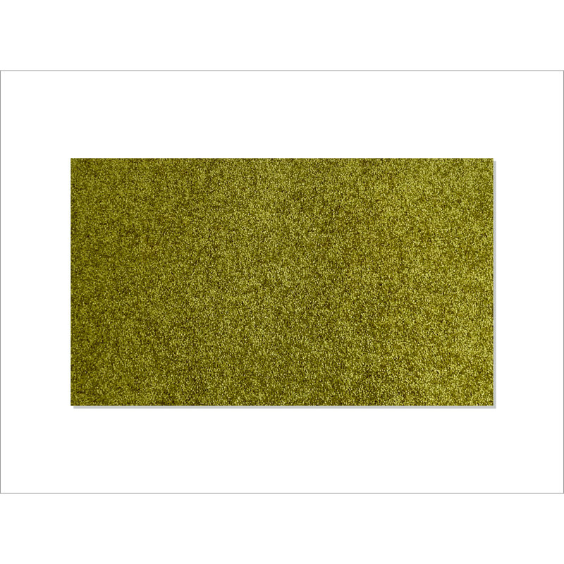 Bravo Non-Slip Indoor Doormat, 57cm x 87cm, Green