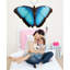 Adhésif décoratif papillon I-15398095